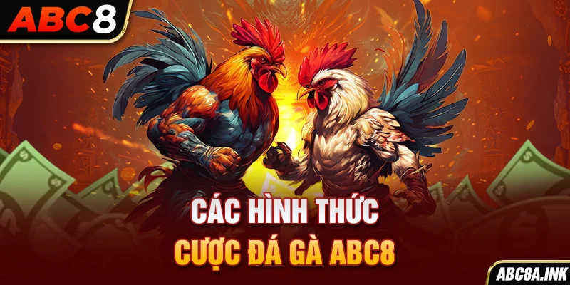 Các hình thức cược đá gà ABC8