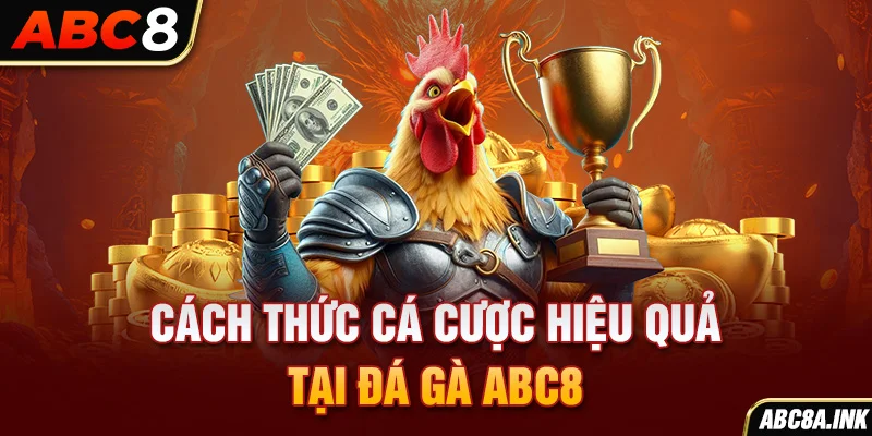 Cách thức cá cược hiệu quả tại đá gà ABC8