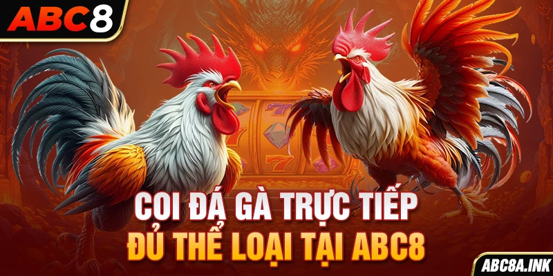 Coi đá gà trực tiếp đủ thể loại tại ABC8