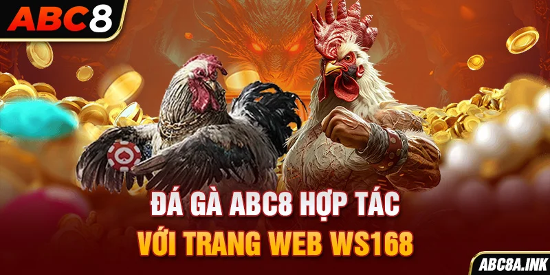 Đá gà ABC8 hợp tác với với trang web WS168