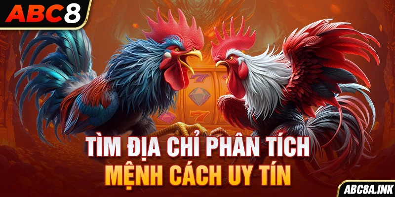 Tìm địa chỉ phân tích mệnh cách uy tín